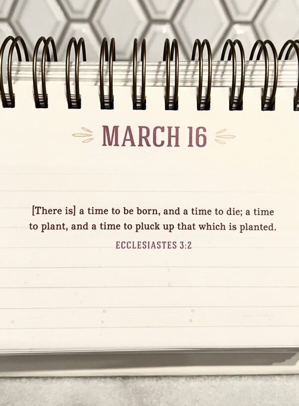 A time to plant & a time to uproot